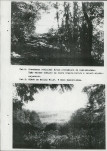Ewidencja parkowa, skan nr 68