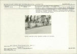 Karta biała, skan nr 9
