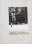 Ewidencja parkowa, skan nr 29