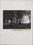 Ewidencja parkowa, skan nr 32