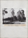 Ewidencja parkowa, skan nr 33