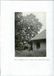 EP - Ewidencja parkowa, skan nr 38