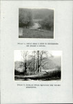 Ewidencja parkowa, skan nr 23