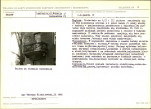 Karta biała, skan nr 7
