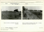 Karta biała, skan nr 6