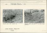 KB - Karta biała, skan nr 11