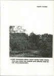 Ewidencja parkowa, skan nr 25