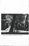 Ewidencja parkowa, skan nr 59