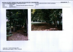 Karta biała, skan nr 13