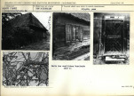 Karta biała, skan nr 5