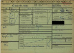 KZ - Karta zielona, skan nr 3
