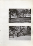 EP - Ewidencja parkowa, skan nr 28