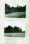 Ewidencja parkowa, skan nr 58