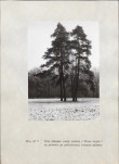 Ewidencja parkowa, skan nr 54