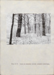 Ewidencja parkowa, skan nr 66