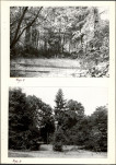 Ewidencja parkowa, skan nr 16