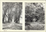 Ewidencja parkowa, skan nr 24