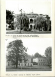 Ewidencja parkowa, skan nr 41
