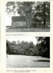 Ewidencja parkowa, skan nr 46