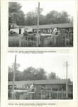 Ewidencja parkowa, skan nr 61
