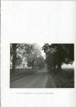 EP - Ewidencja parkowa, skan nr 47