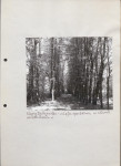 EP - Ewidencja parkowa, skan nr 40