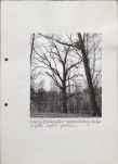EP - Ewidencja parkowa, skan nr 43