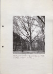 EP - Ewidencja parkowa, skan nr 44