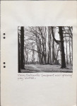 EP - Ewidencja parkowa, skan nr 49