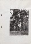 EP - Ewidencja parkowa, skan nr 50