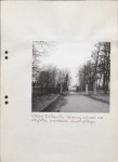 EP - Ewidencja parkowa, skan nr 51