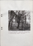EP - Ewidencja parkowa, skan nr 52