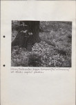 EP - Ewidencja parkowa, skan nr 56