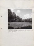 EP - Ewidencja parkowa, skan nr 58