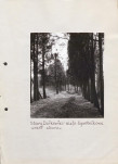 EP - Ewidencja parkowa, skan nr 63