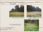 KB - Karta biała, skan nr 12