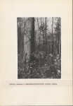 EP - Ewidencja parkowa, skan nr 18
