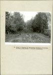 Ewidencja parkowa, skan nr 41