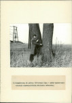 Ewidencja parkowa, skan nr 14
