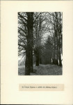 Ewidencja parkowa, skan nr 18