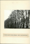 Ewidencja parkowa, skan nr 22
