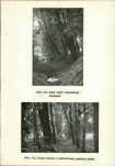 Ewidencja parkowa, skan nr 29