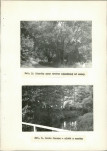 Ewidencja parkowa, skan nr 33