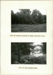Ewidencja parkowa, skan nr 37