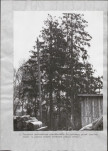EP - Ewidencja parkowa, skan nr 22