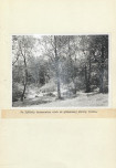EP - Ewidencja parkowa, skan nr 16