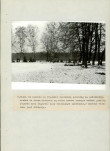 EP - Ewidencja parkowa, skan nr 25