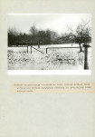 EP - Ewidencja parkowa, skan nr 31