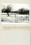 EP - Ewidencja parkowa, skan nr 32