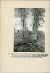 EP - Ewidencja parkowa, skan nr 68
